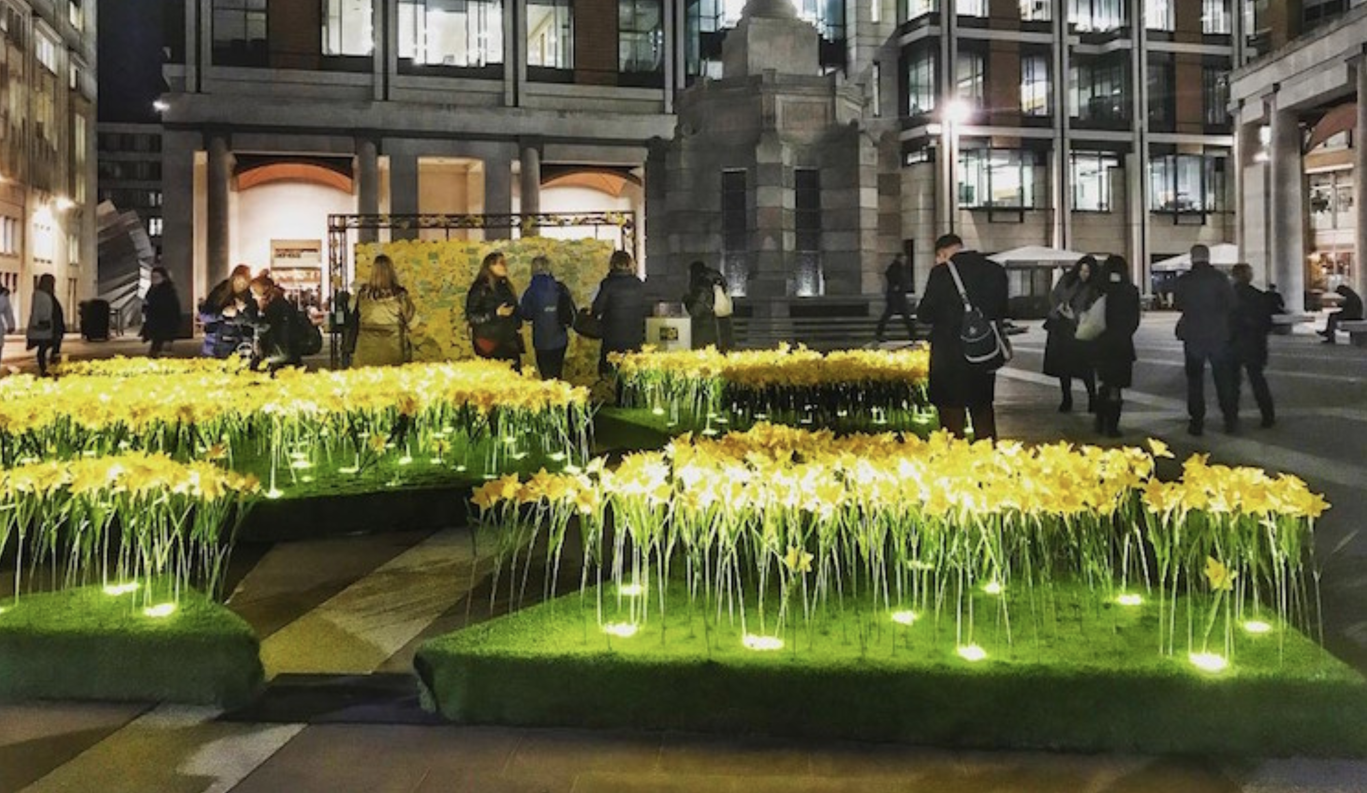 Garden of Light